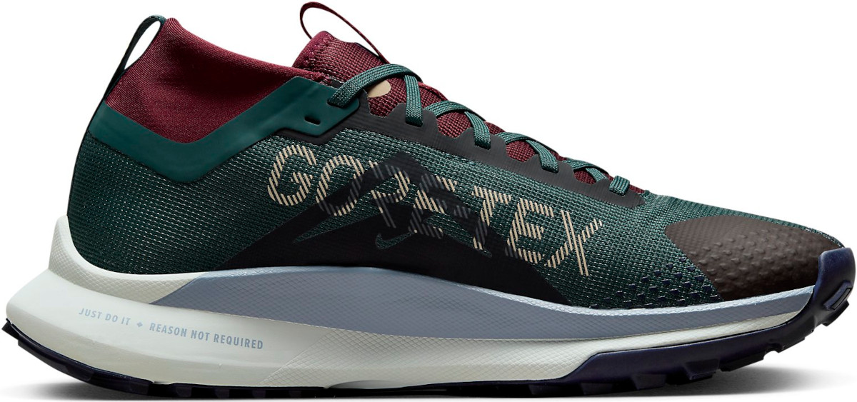 Shoes Nike Pegasus Trail 4 GORE-TEX - Top4Running.com