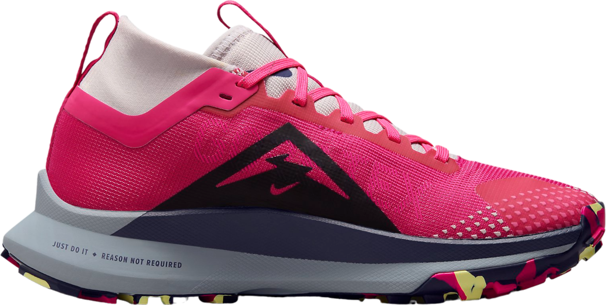 Buy Nike Pegasus Trail 4 GORE-TEX Women's Waterproof Trail
