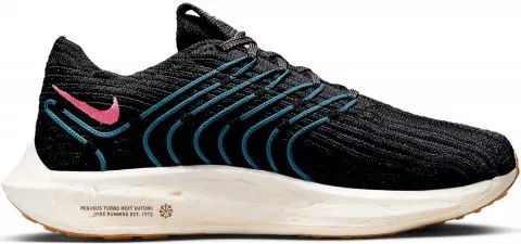 Bežecké topánky Nike Pegasus Turbo Next Nature