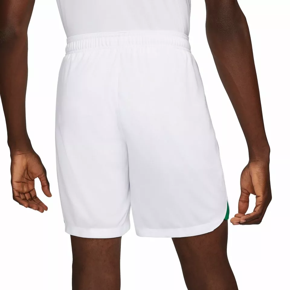 Kratke hlače Nike NGA M NK DF STAD SHORT AW 2022/23