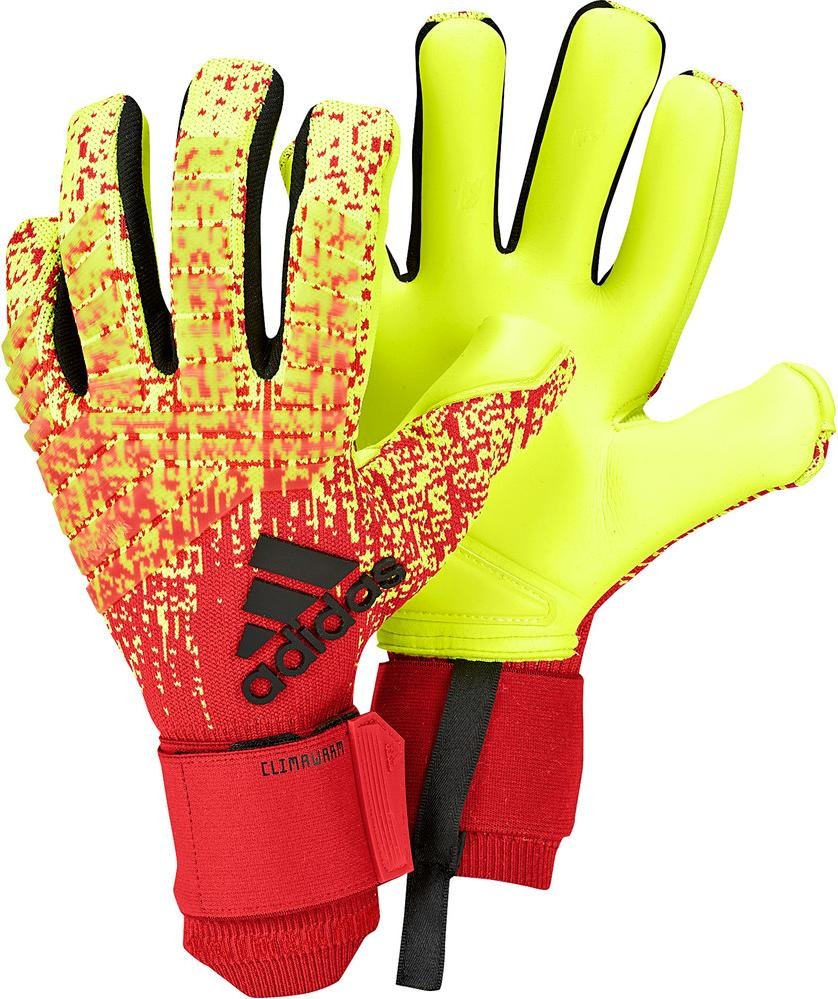 Goalkeeper's gloves adidas predator pro climawarm tw-