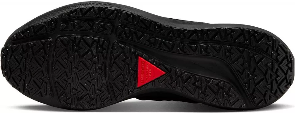 Zapatillas de running Nike Pegasus Shield
