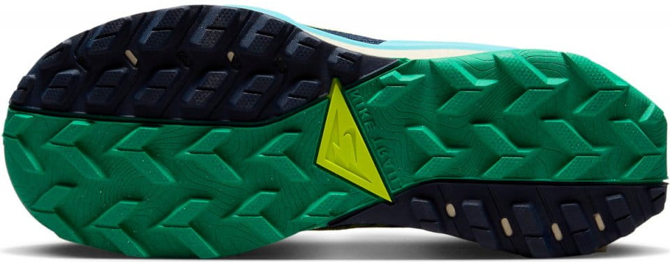 Chaussures de trail Nike Wildhorse 8