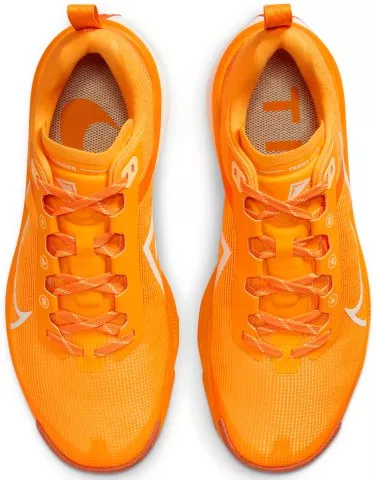Trail tenisice Nike Kiger 9