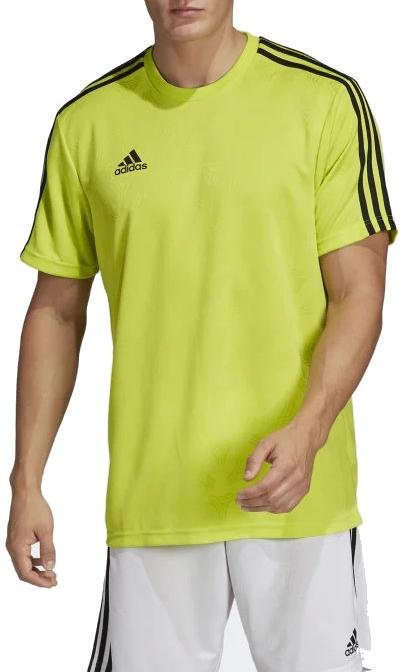 Jersey adidas Sportswear TAN JQD JSY