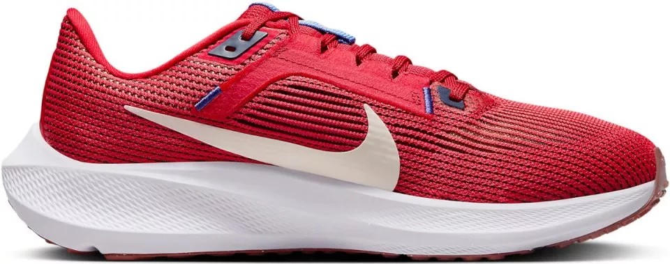 Pánské běžecké boty Nike Pegasus 40