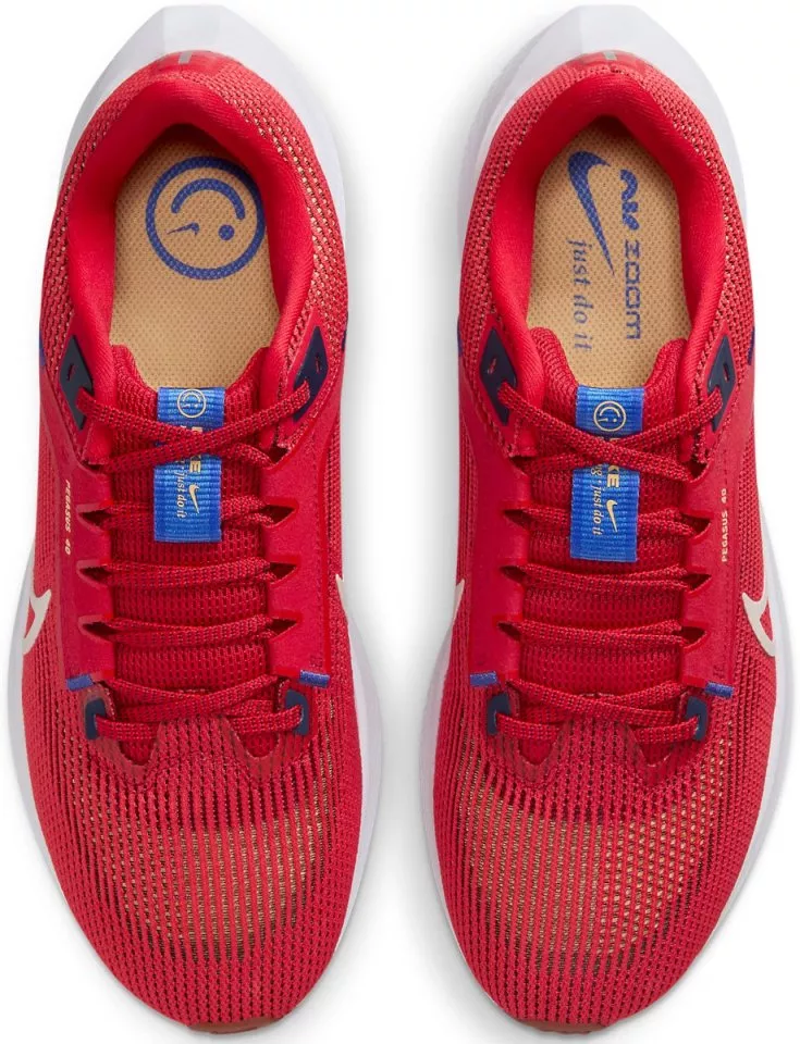 Calzado de running en carretera para hombre Nike Pegasus 40 (Club