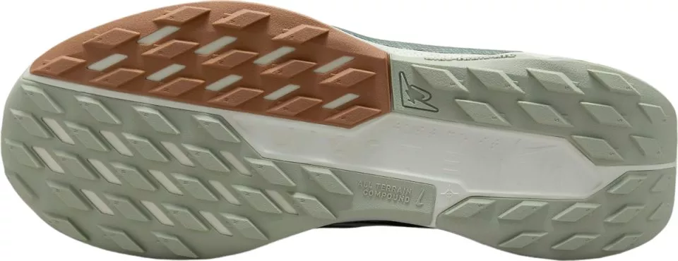 Chaussures de Nike Pegasus Trail 5