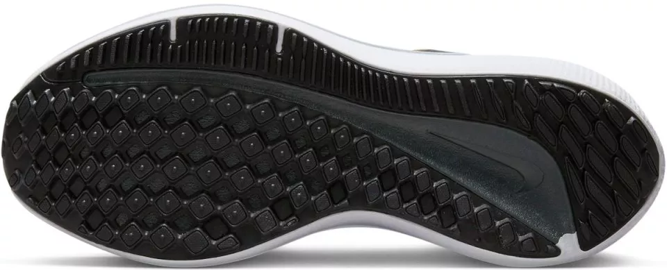 Pantofi de alergare Nike Winflo 10