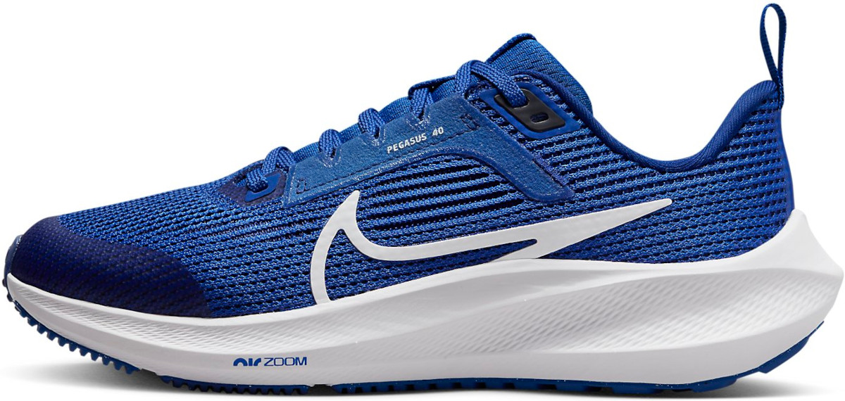 Sapatilhas de Corrida Nike Air Zoom Pegasus 40