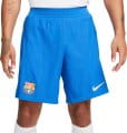 nike fcb m nk dfadv match short aw 2023 24 639618 dx2626 463 120
