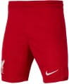 nike lfc y nk df stad short hm 2023 24 600375 dx2788 687 120