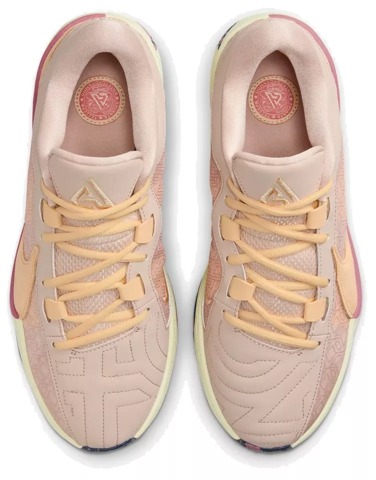 Παπούτσια μπάσκετ Nike Zoom Freak 5