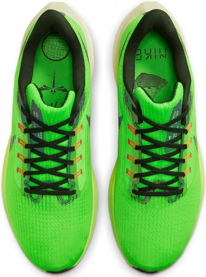 Pantofi de alergare Nike Air Zoom Pegasus 39