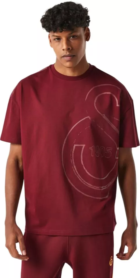 Triko Puma Galatasaray Istanbul T-Shirt