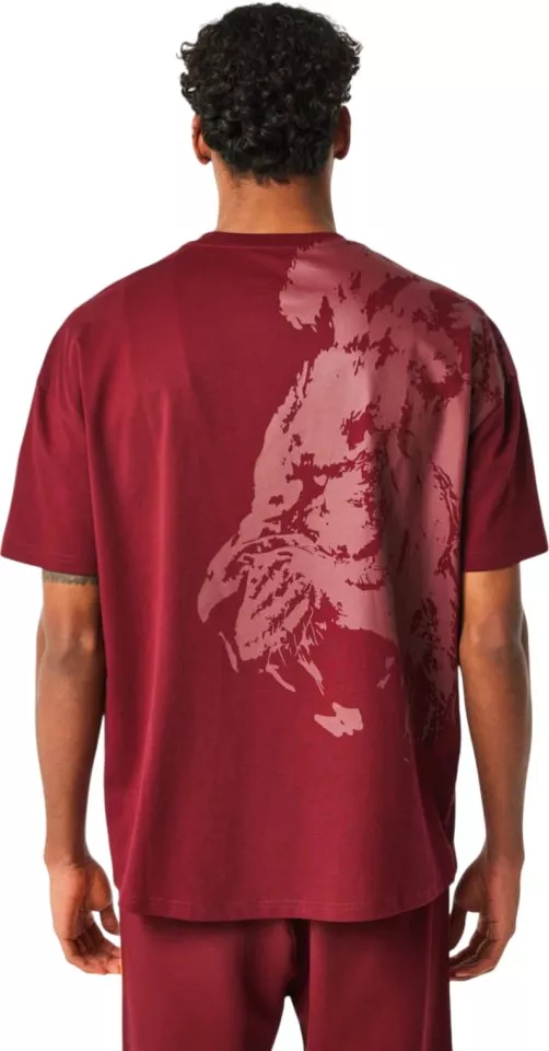 Triko Puma Galatasaray Istanbul T-Shirt