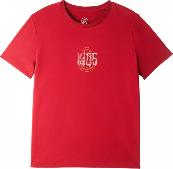 Puma Galatasaray Istanbul T-Shirt