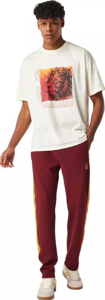 Puma Galatasaray Istanbul T-Shirt