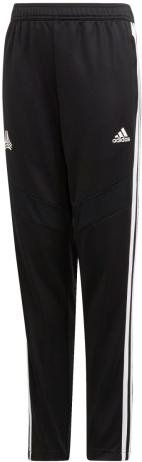 Calças adidas Sportswear TAN TR PANT Y