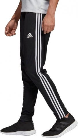 adidas tan tr pant