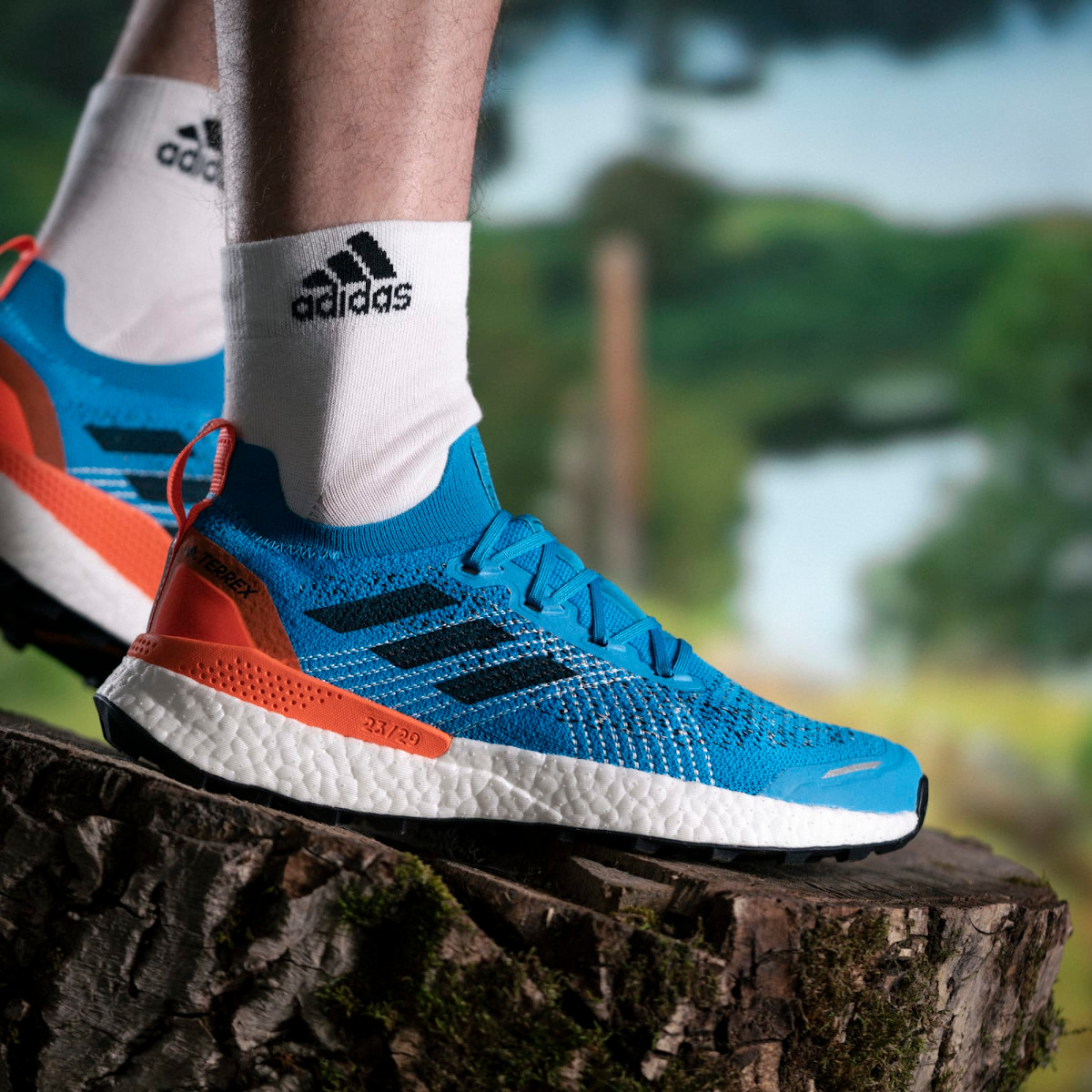 Trail shoes adidas TERREX TWO ULTRA PARLEY - Top4Running.com