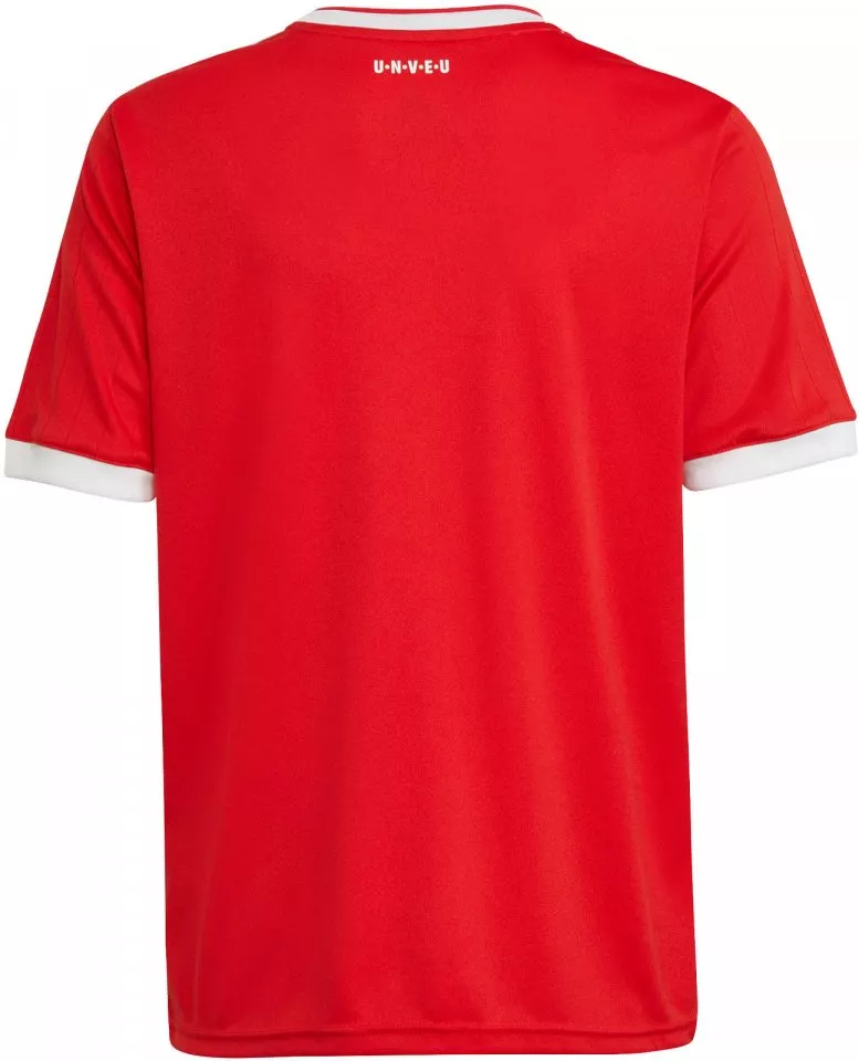 Camiseta adidas UNB H JERSEYY WHS 2021/22