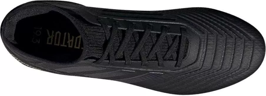 Pánské kopačky adidas Predator 19.3 FG