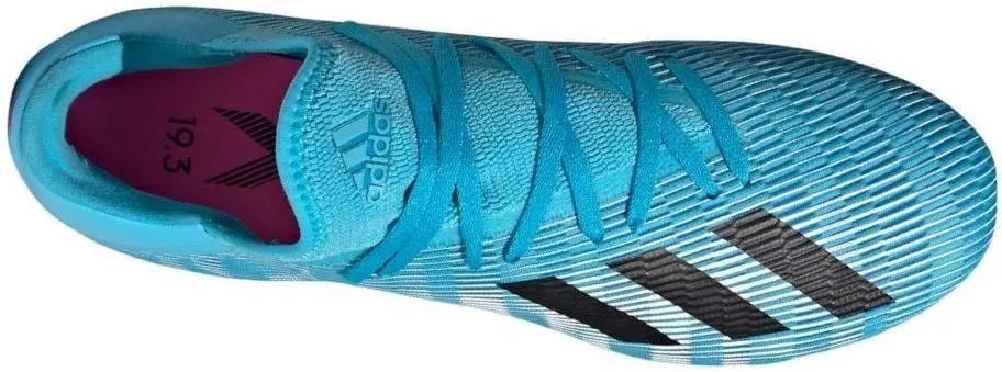 Pánské kopačky adidas X 19.3 SG