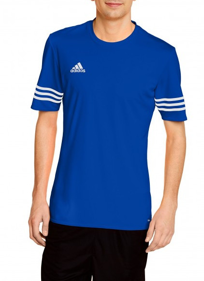 Jersey adidas ENTRADA 14 JSY 11teamsports.ie