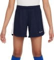 nike g nk df acd23 short k br 616420 fd3131 451 120