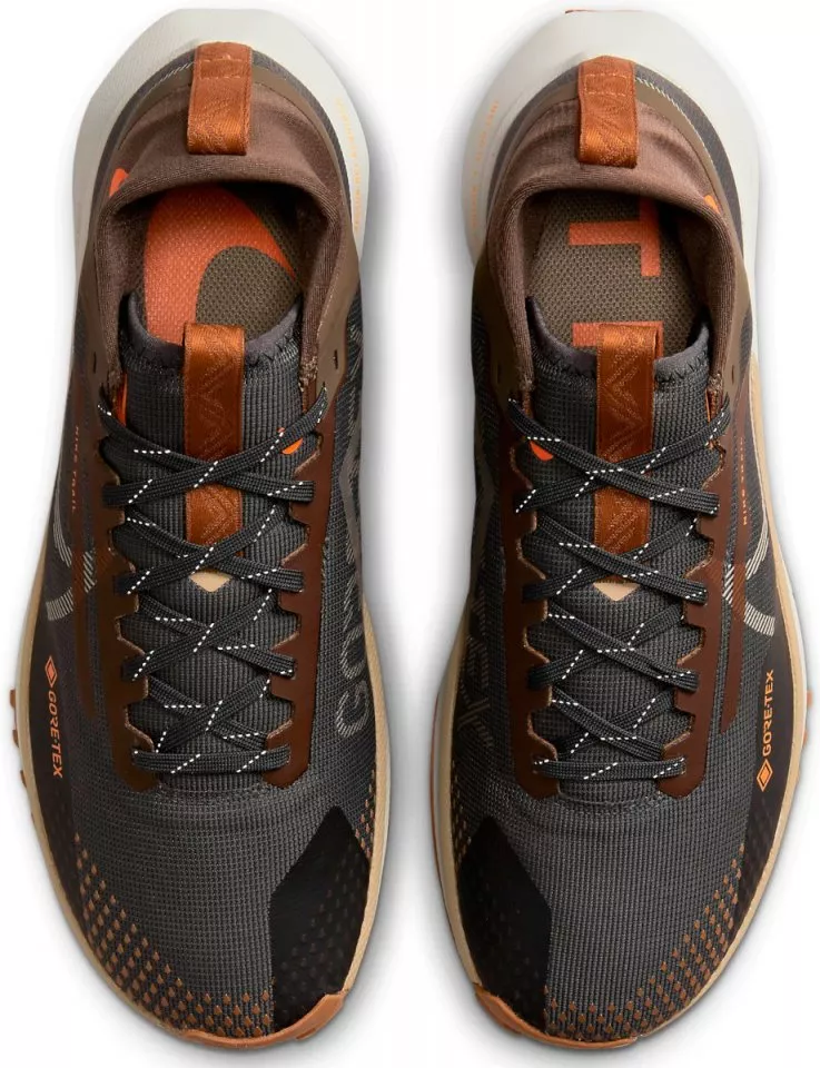 Pánské trailové boty Nike Pegasus Trail 4 GORE-TEX