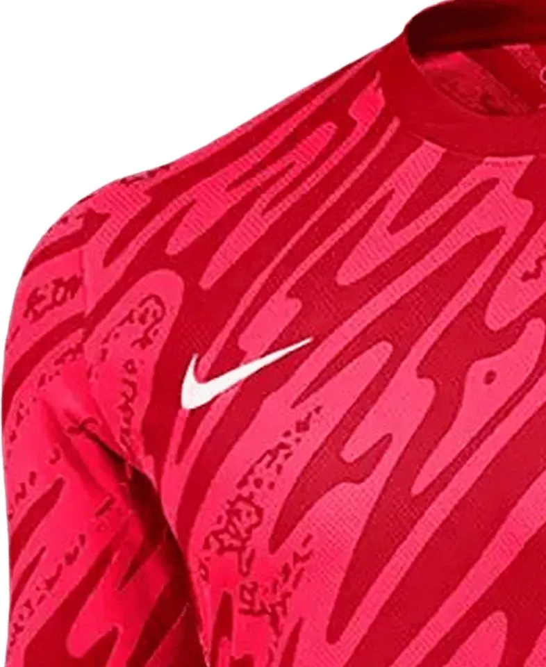 Nike M NK DF GARDIEN V GK JSY LS Hosszú ujjú mez