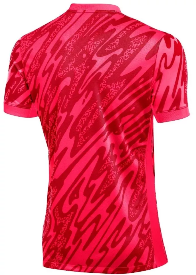 Dres Nike Dri-FIT Gardien V