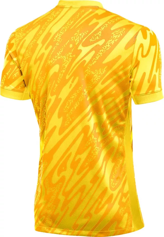 Pánský brankářský dres s krátkým rukávem Nike Dri-FIT Gardien V