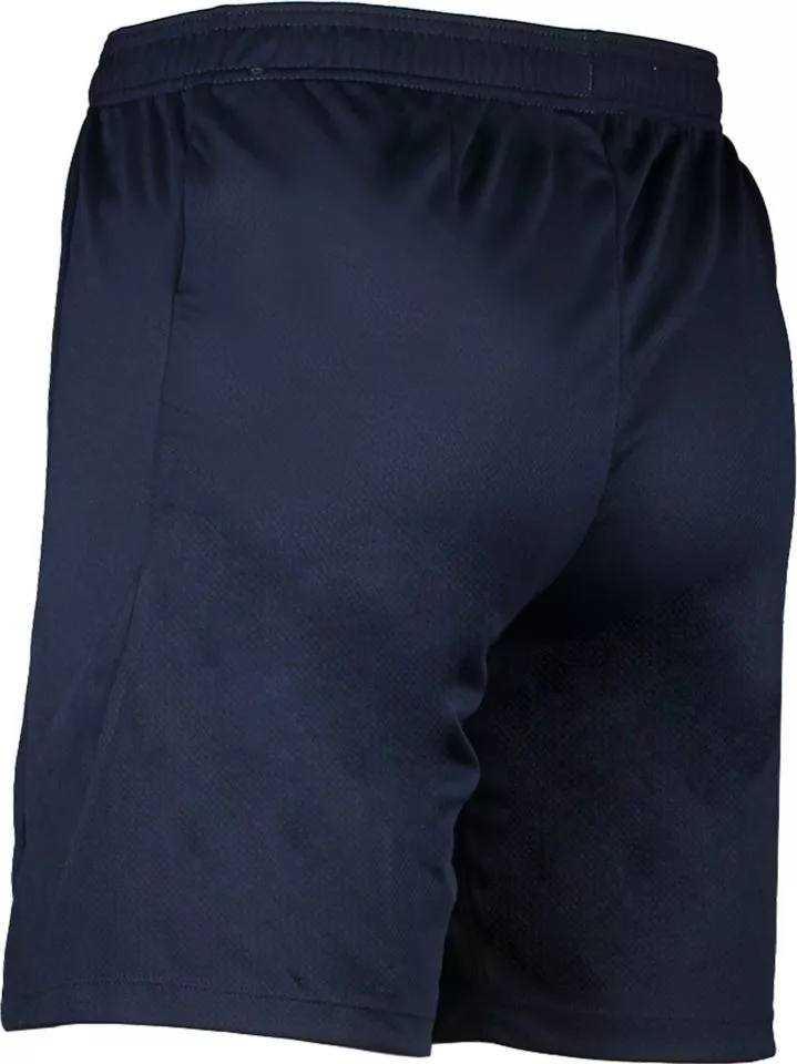 Sorturi Nike Dri-FIT Strike 24