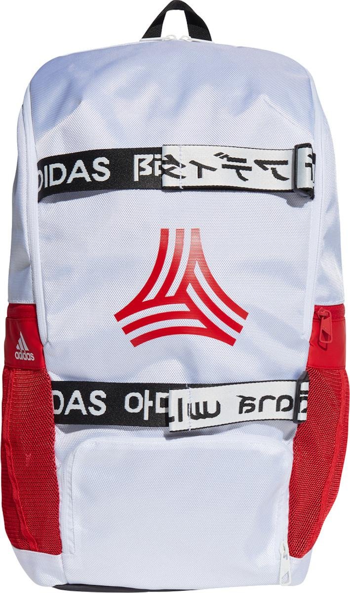 Backpack adidas FS BP A.R.