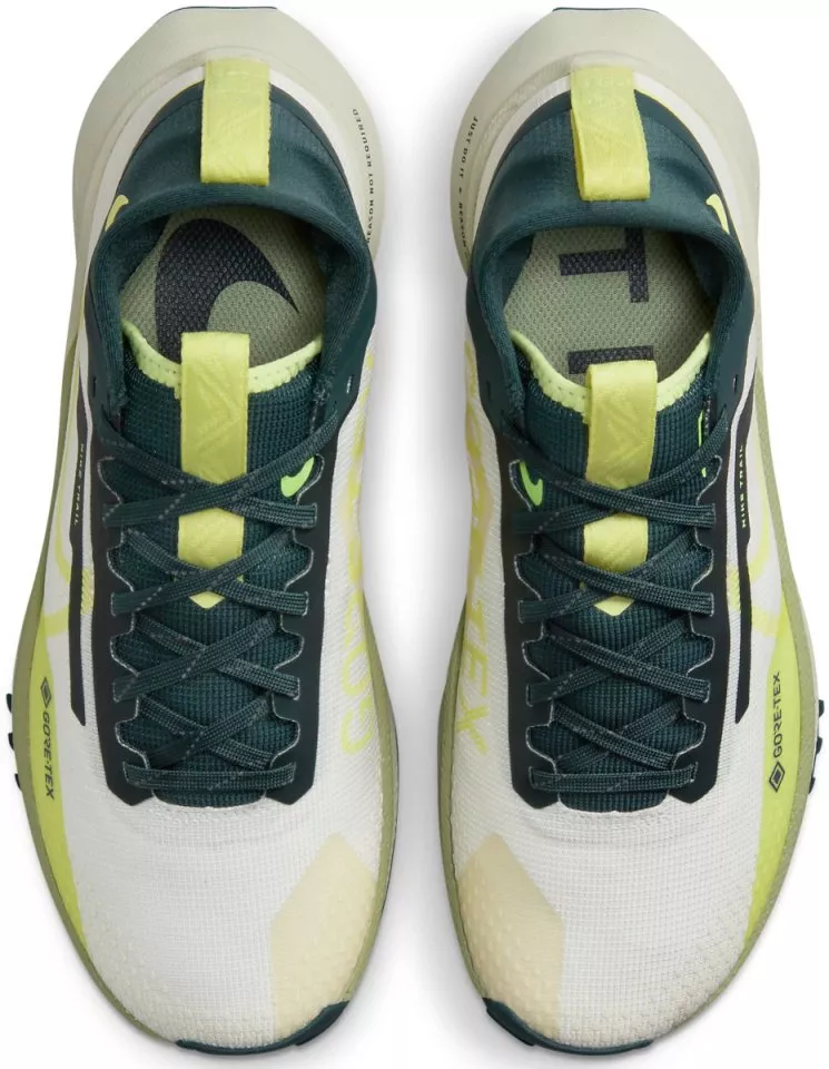 shoes Nike Pegasus Trail 4 GORE-TEX