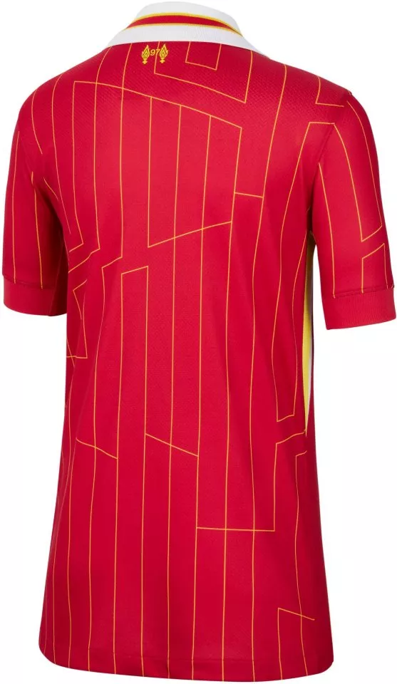Koszulka Nike LFC Y NK DF JSY SS STAD HM 2024/25