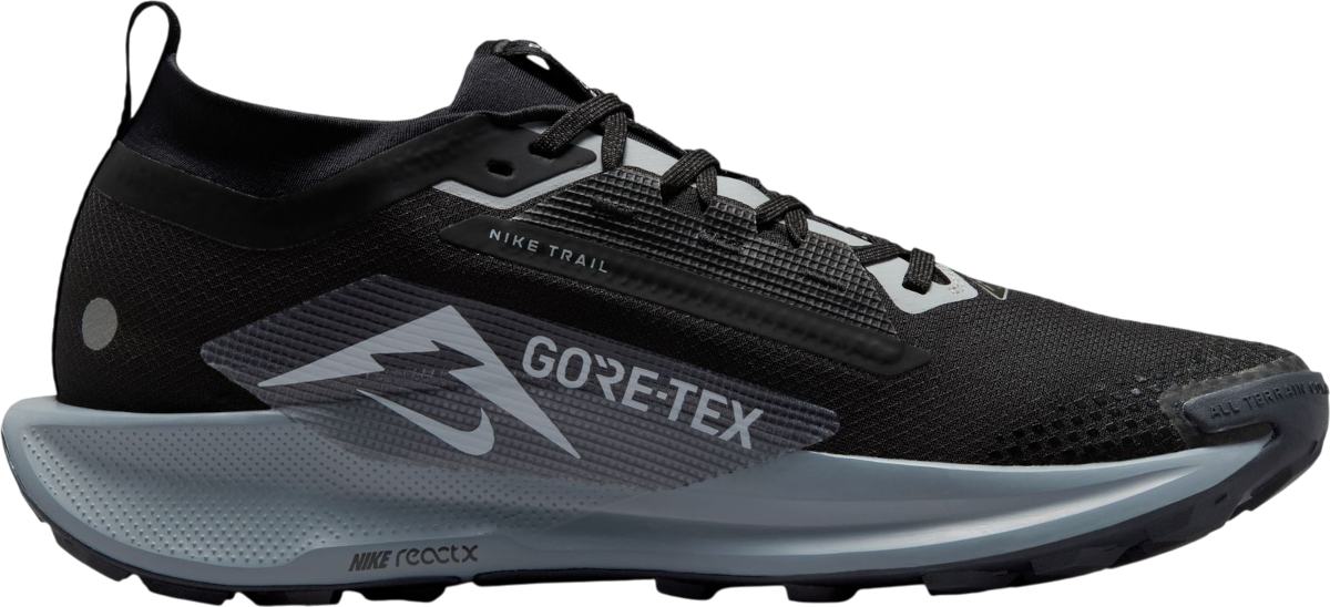 Shoes Nike Pegasus Trail 5 GORE-TEX - Top4Running.com