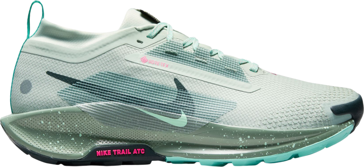 Pegasus Trail 5 GORE-TEX