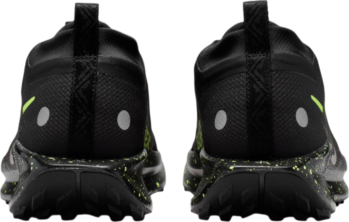 Shoes Nike Pegasus Trail 5 GORE-TEX - Top4Running.com