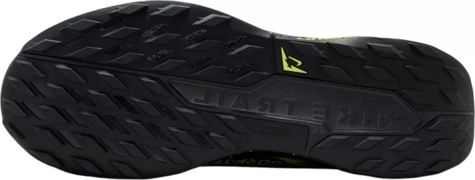 Trail-Schuhe Nike Pegasus Trail 5 GORE-TEX