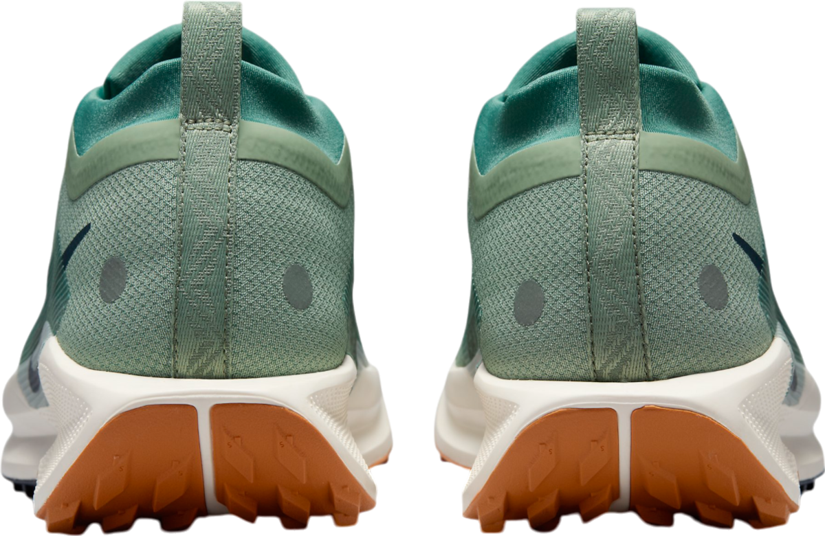 Shoes Nike Pegasus Trail 5 GORE-TEX - Top4Running.com
