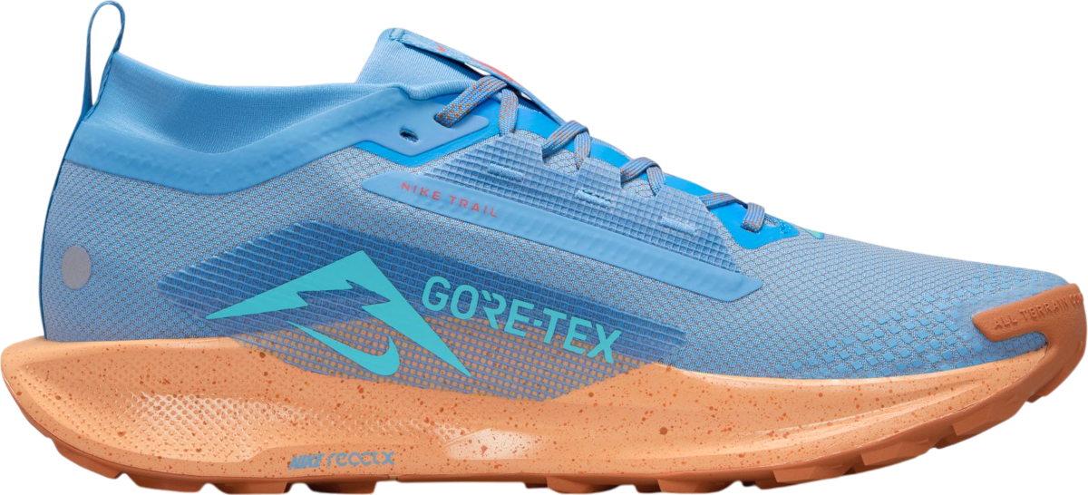 Shoes Nike Pegasus Trail 5 GORE-TEX - Top4Running.com