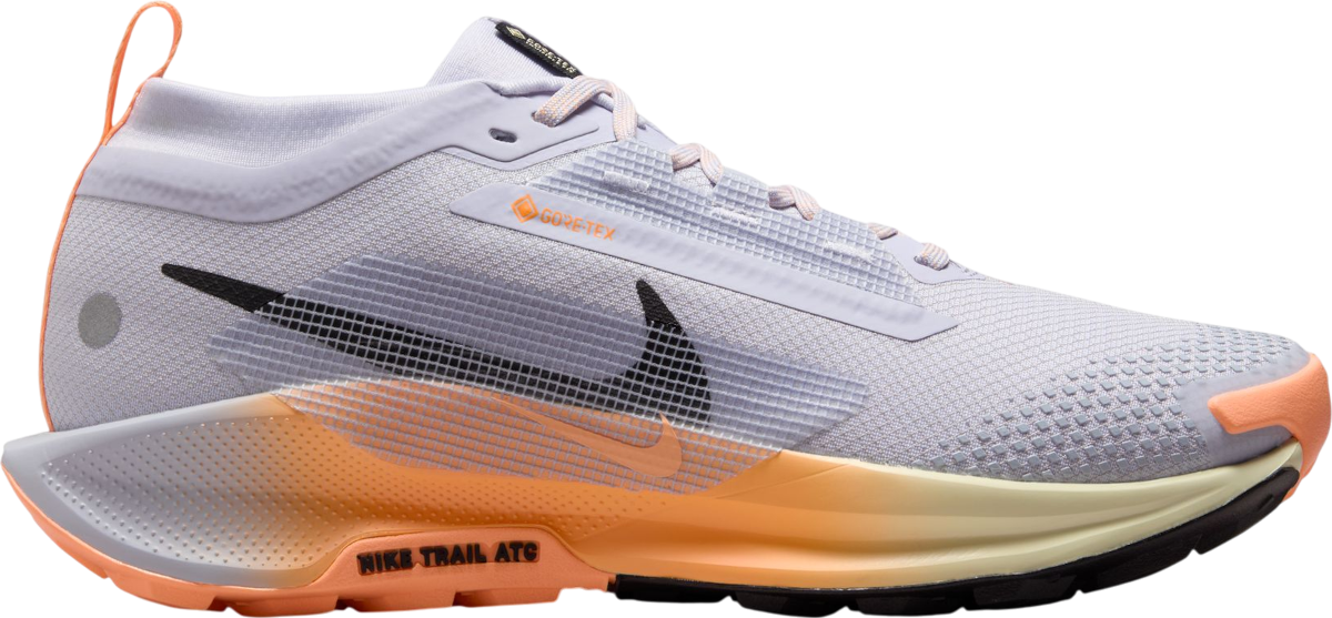 Pegasus Trail 5 GORE-TEX