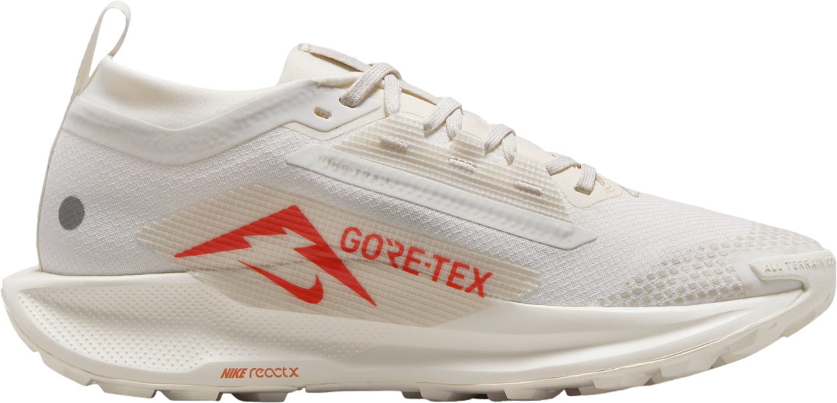 Shoes Nike Pegasus Trail 5 GORE-TEX - Top4Running.com