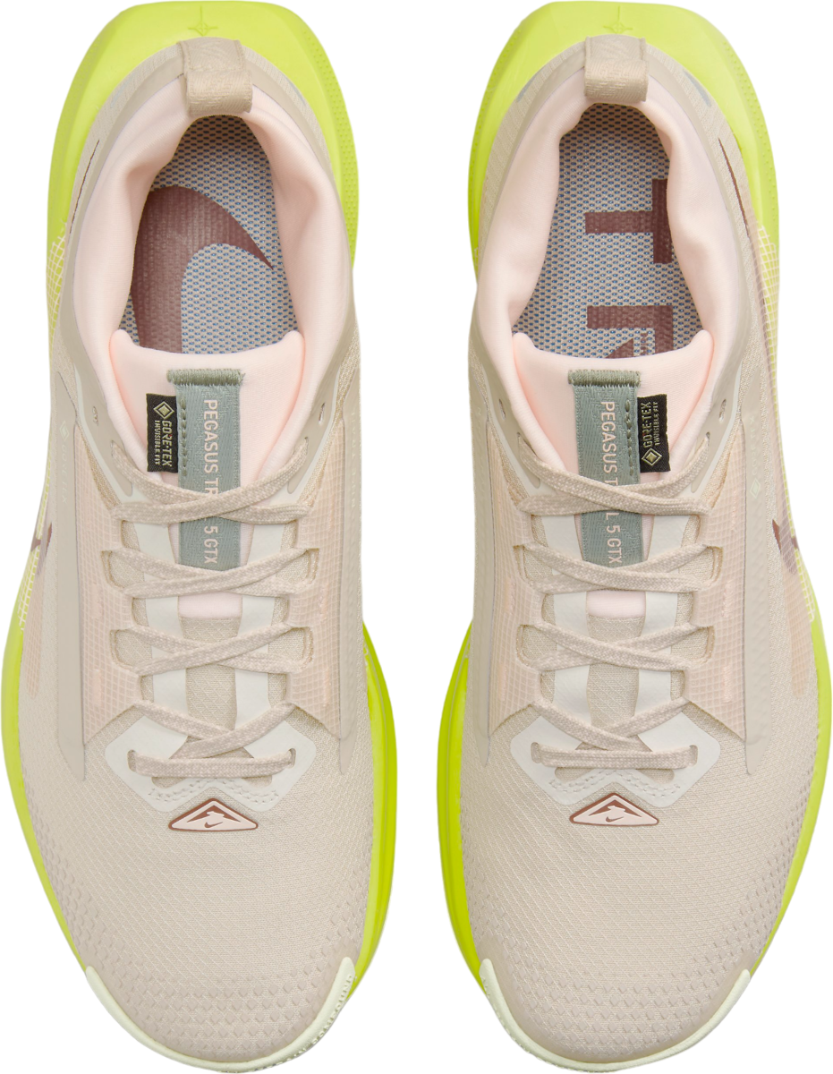 Shoes Nike Pegasus Trail 5 GORETEX