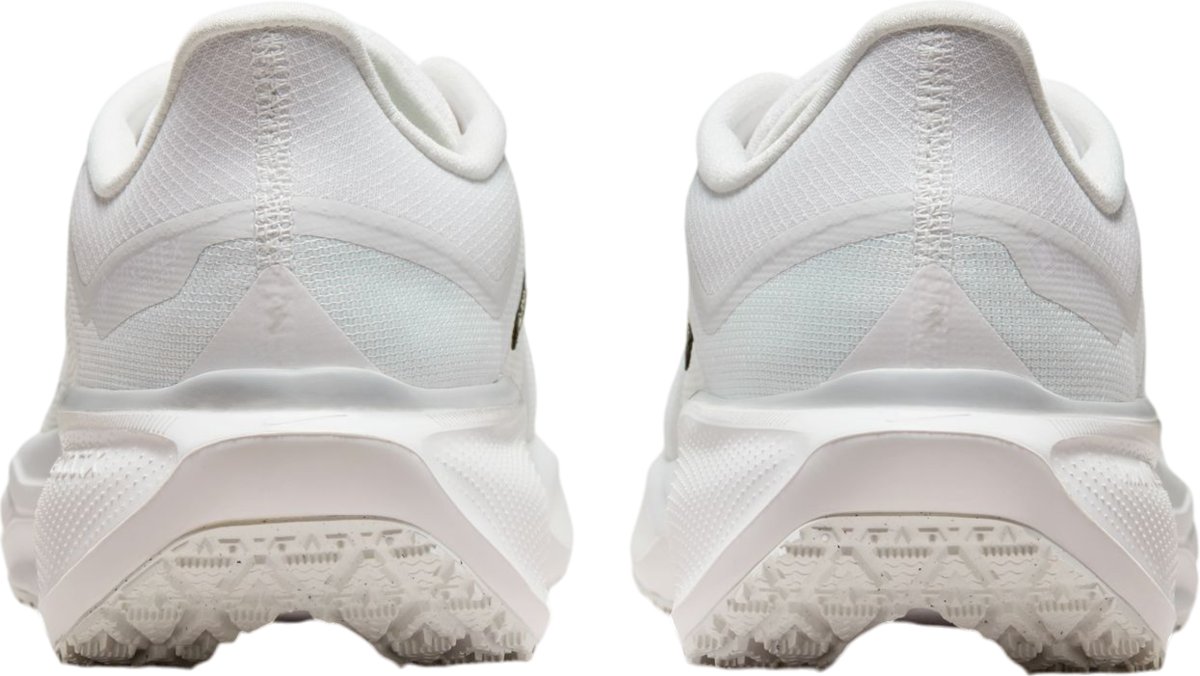 Running shoes Nike Pegasus 41 GORE-TEX - Top4Running.com