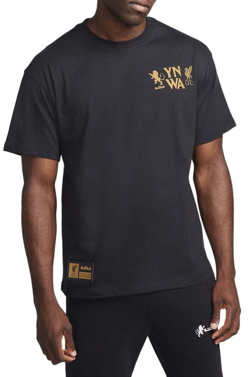 Camiseta Nike LBJ M NK TEE M90 SP24