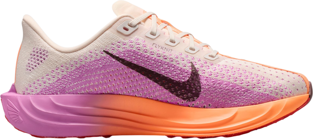 Nike Pegasus Plus